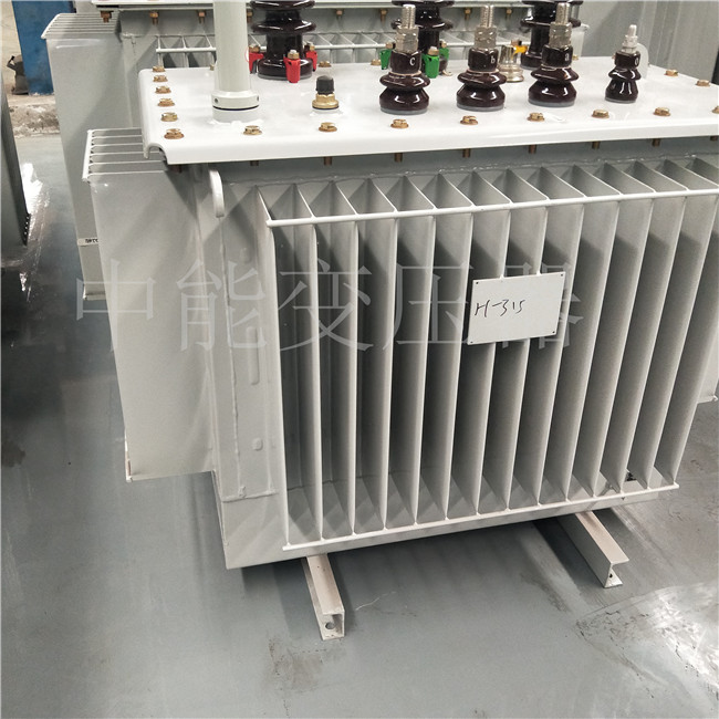 盐边S20-500KVA油浸式变压器