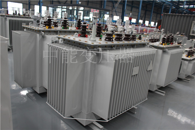 盐边2500KVA/10KV油浸式变压器
